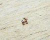 89229-02